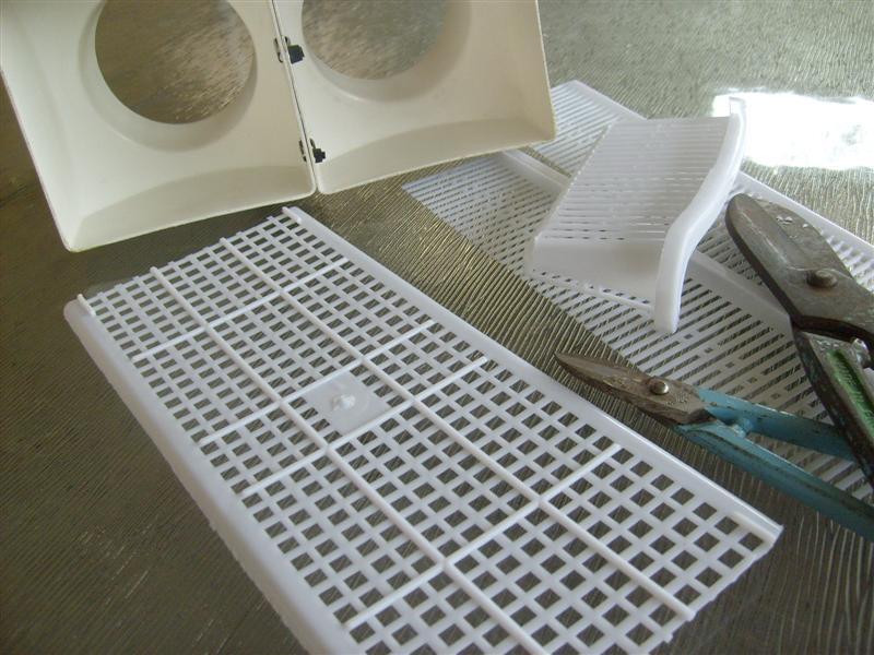 S6303431 (Medium) (Medium).JPG