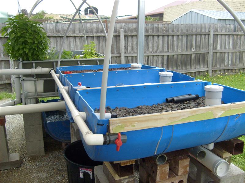 S6303194 (Medium).JPG