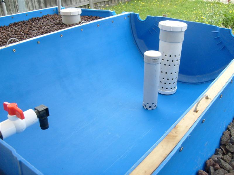 S6303193 (Medium).JPG