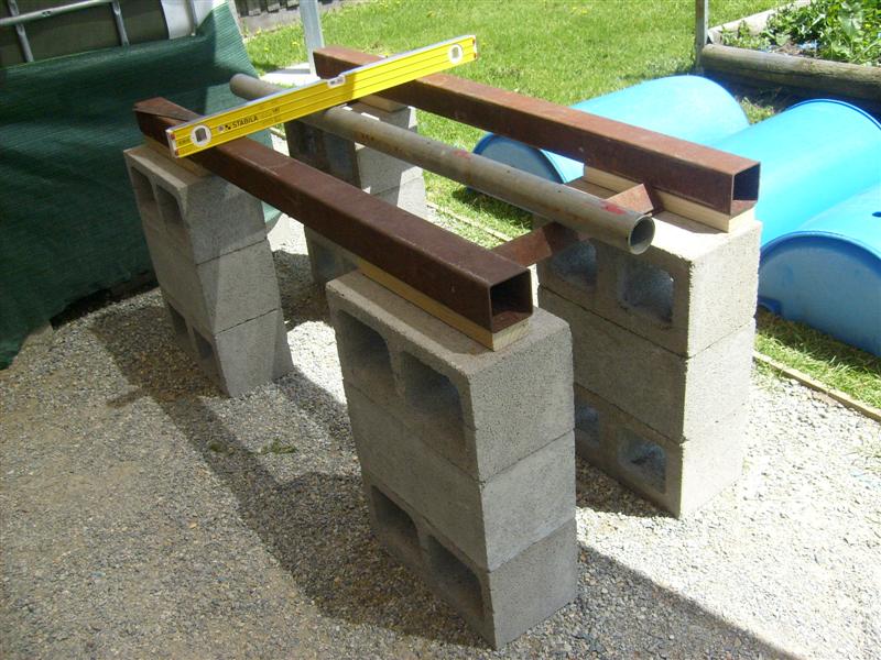 S6303189 (Medium).JPG