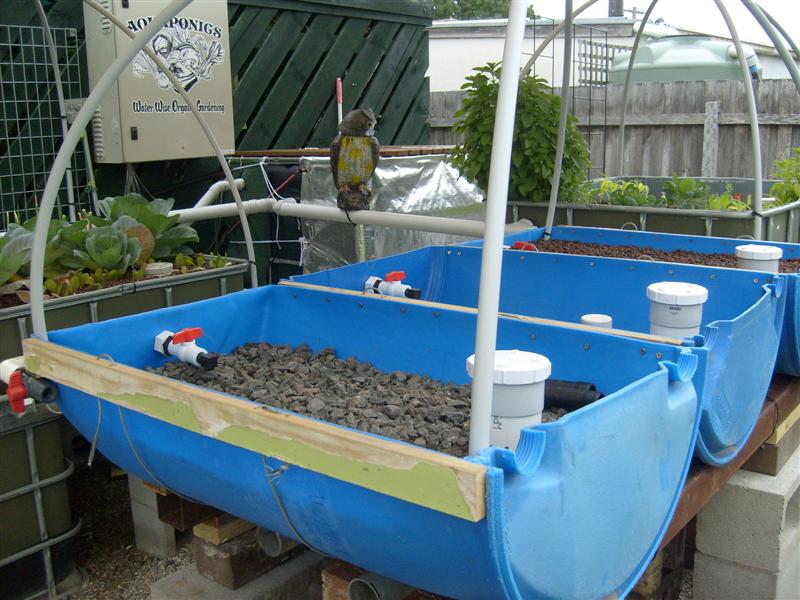 S6303195 (Medium).JPG