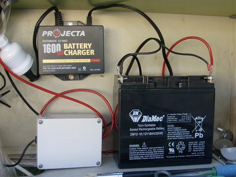 S6303271 (Medium).JPG