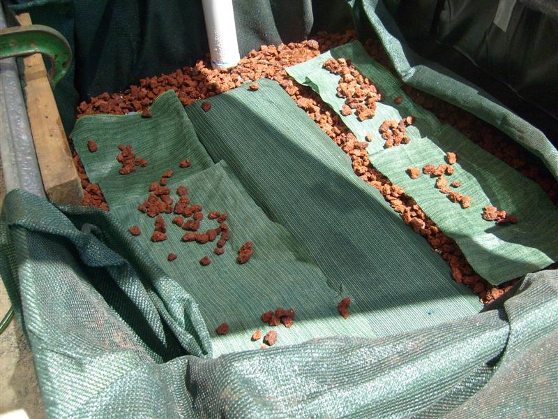 reservoir07 (Medium).JPG