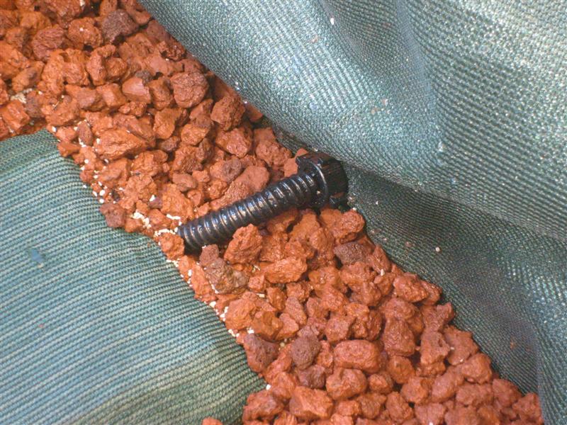 reservoir05 (Medium).JPG