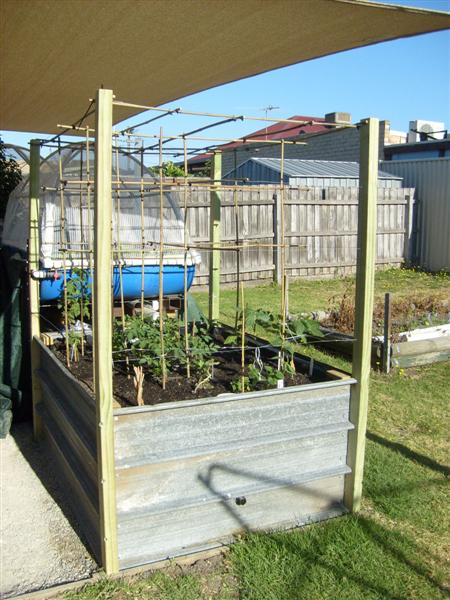 S6303388 (Medium).JPG