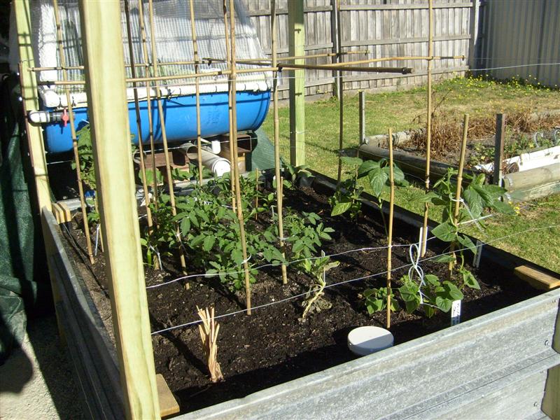 S6303389 (Medium).JPG