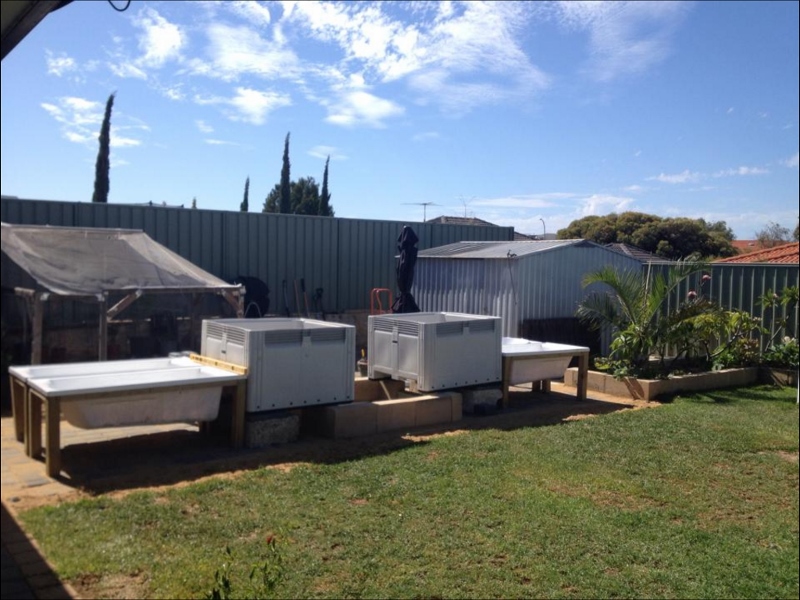 IMG_0118 (800x600).jpg