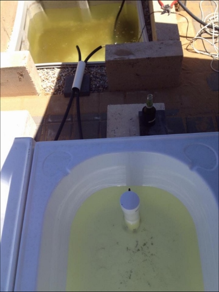 IMG_0119 (600x800) (450x600) (450x600).jpg