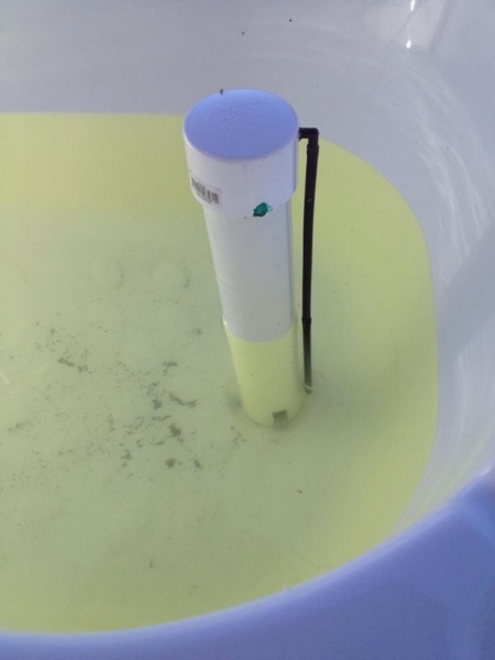 IMG_0124 (600x800) (450x600) (450x600).jpg