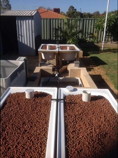 IMG_0125 (600x800) (450x600) (450x600).jpg