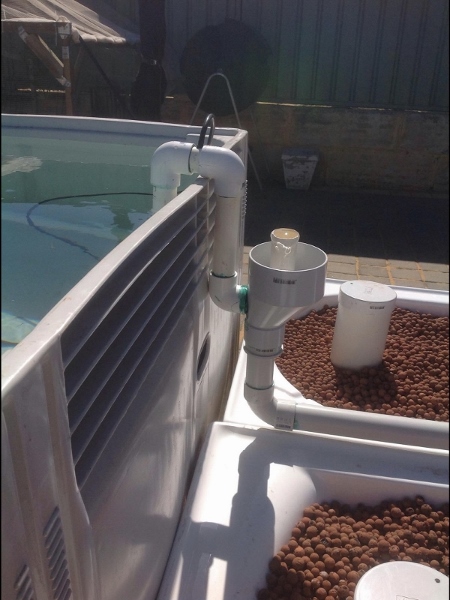 IMG_0127 (600x800) (450x600) (450x600).jpg