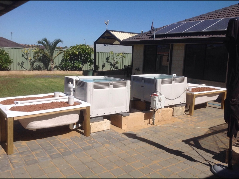 IMG_0128 (800x600).jpg