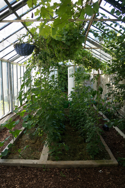Greenhouse21.jpg