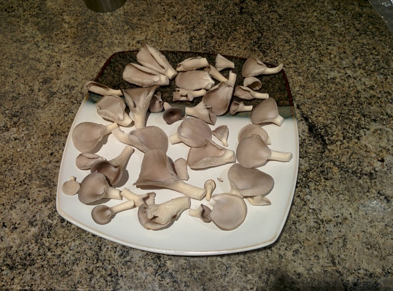 2014-02-20 19.48.32.jpg