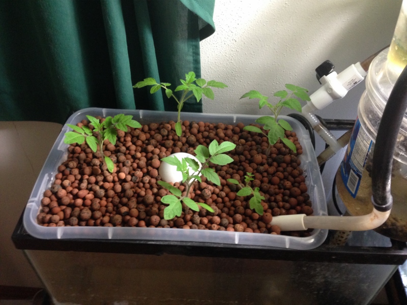 IMG_1314 (3) (800x600).jpg