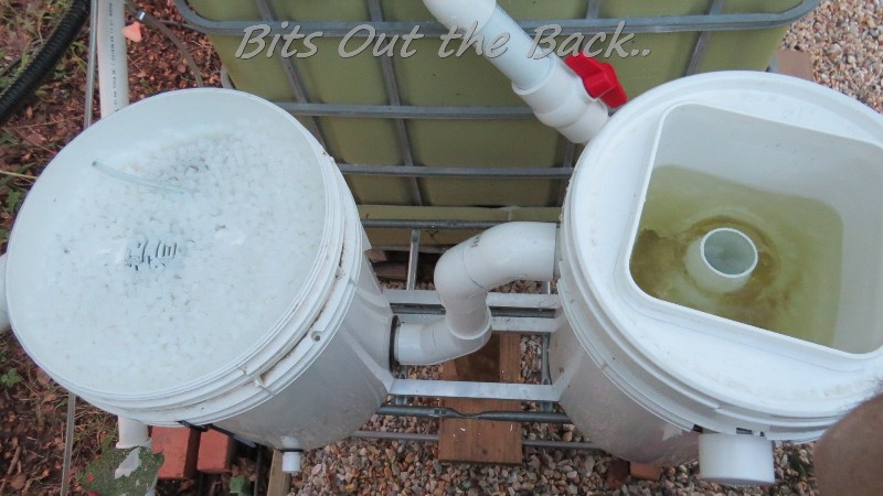 BOTB IMG_5139 BYAP.jpg