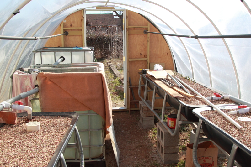 greenhouse0002.JPG