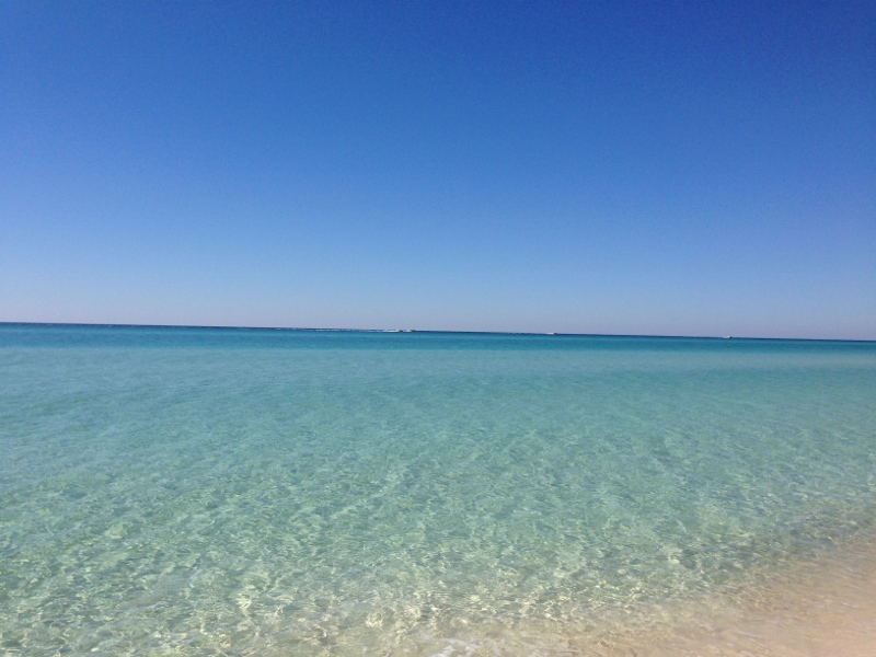 IMG_1318 (800x600).jpg