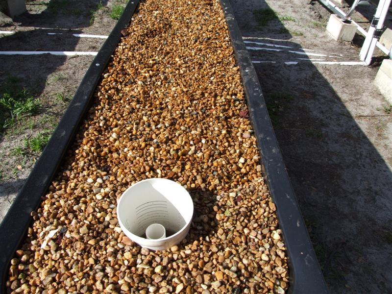 Brown River Rock (Medium).JPG