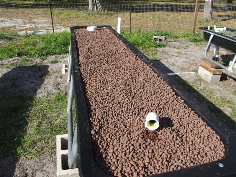 Plantit (Medium).JPG