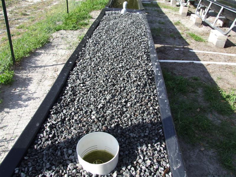 Stalite (Medium).JPG