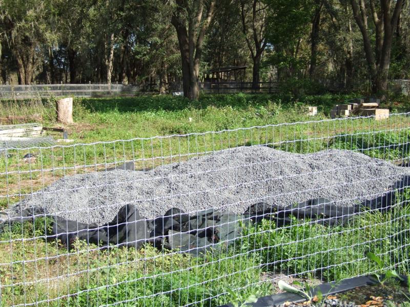 Six Ton Stalite (Medium).JPG