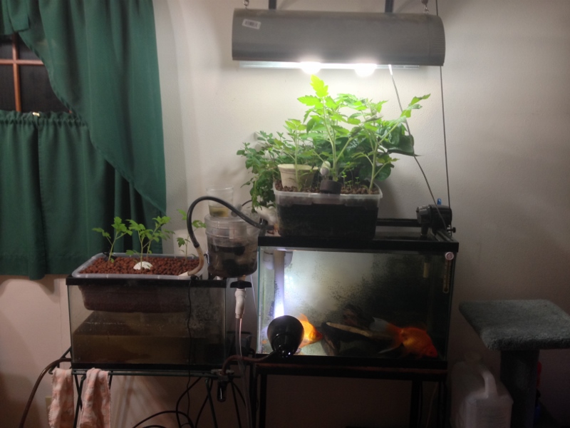 IMG_1330 (2) (800x600).jpg