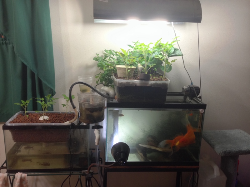 IMG_1317 (2) (800x600).jpg