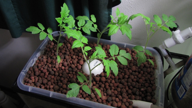 IMG_7748 (800x450).jpg