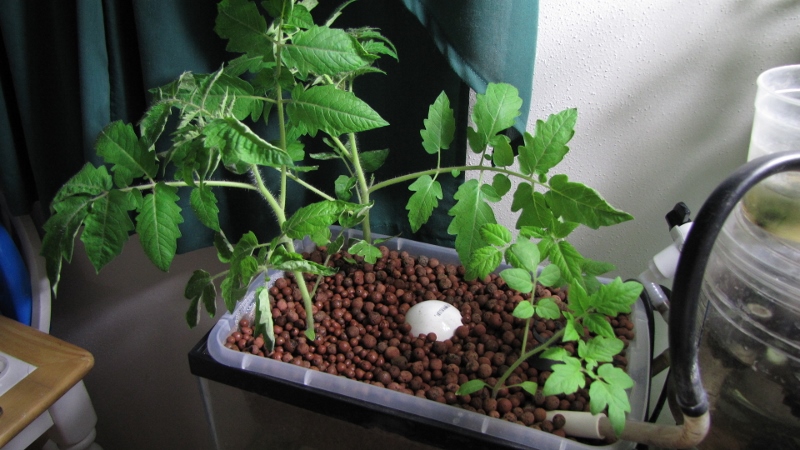 IMG_7751 (800x450).jpg