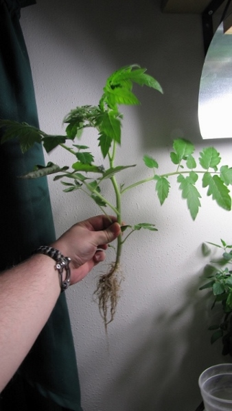 IMG_7750 (450x800) (360x640) (338x600).jpg