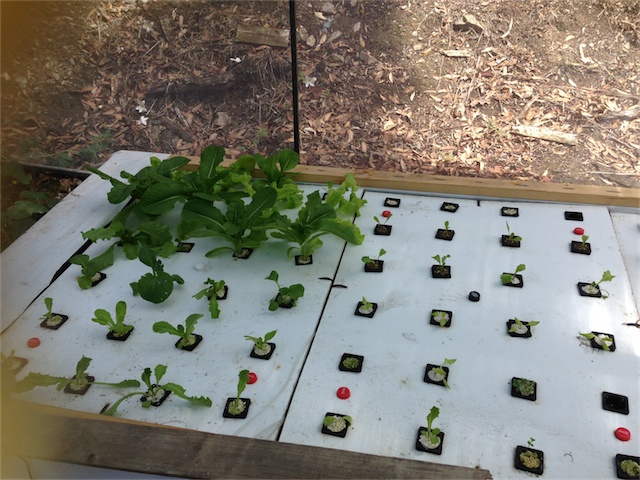 DWC Update 6.03.14_001.jpeg