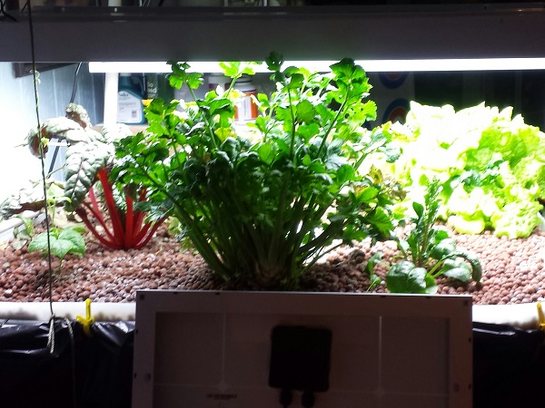 system growth 3 3 2014.jpg