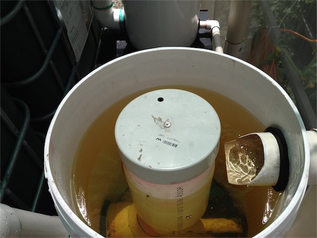 Flow Filter_001.jpeg