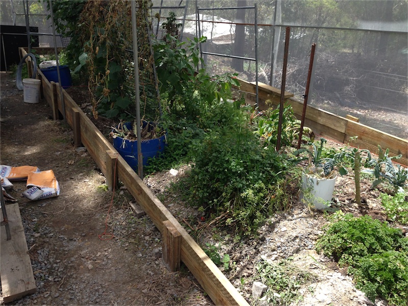 Dirt Garden Renos_003.jpeg