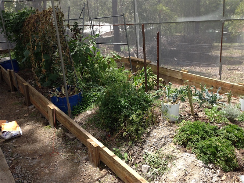 Dirt Garden Renos_001.jpeg