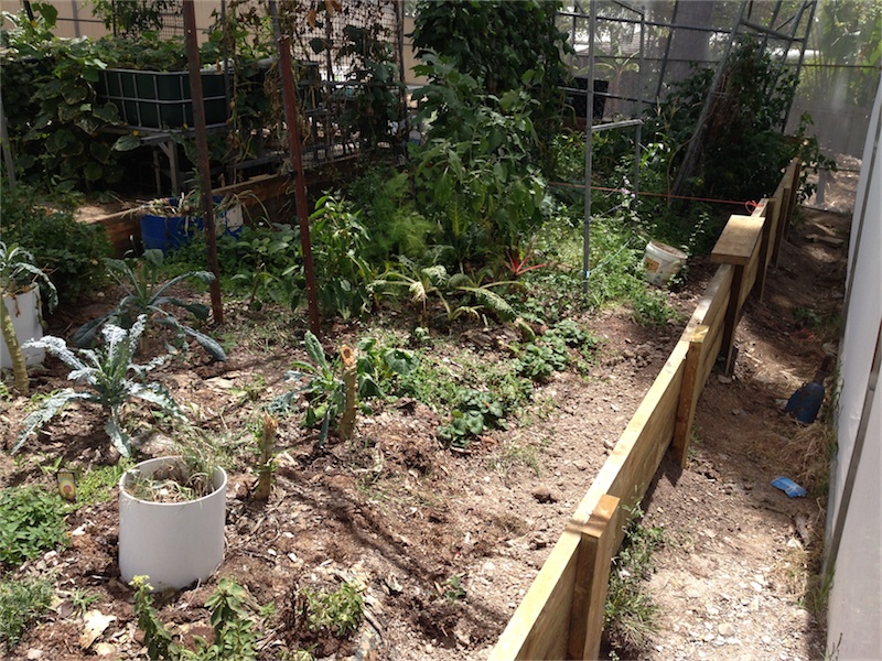 Dirt Garden Renos_002.jpeg