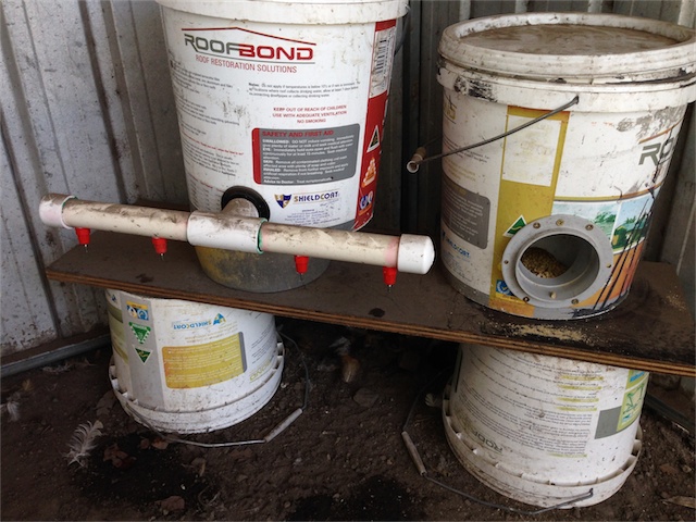 Auto Water & Feeder_001.jpeg