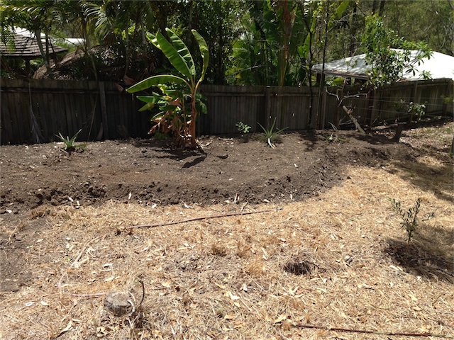 General Garden Update 05.03.14_006.jpeg