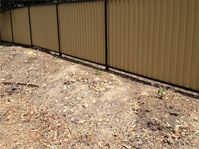 General Garden Update 05.03.14_004.jpeg