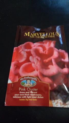 2014-03-08 19.34.01 (Small).jpg