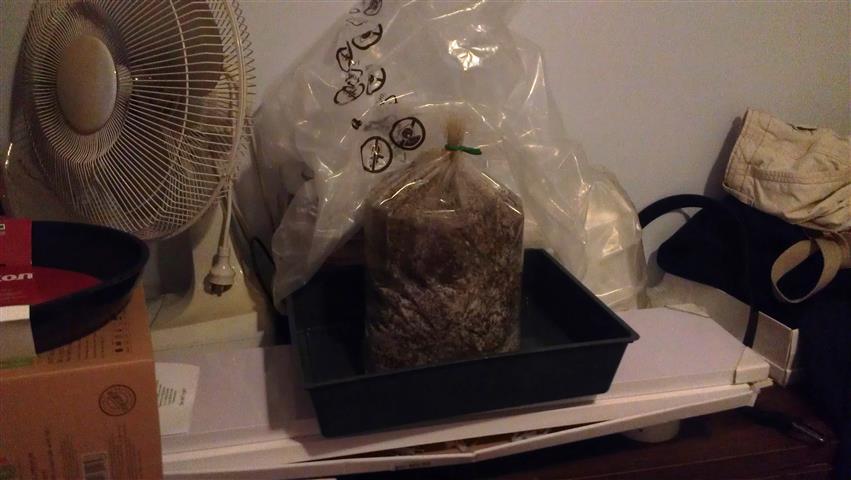 2014-03-09 18.24.02 (Small).jpg