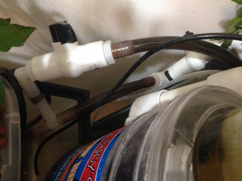 IMG_1350 (3) (800x600).jpg