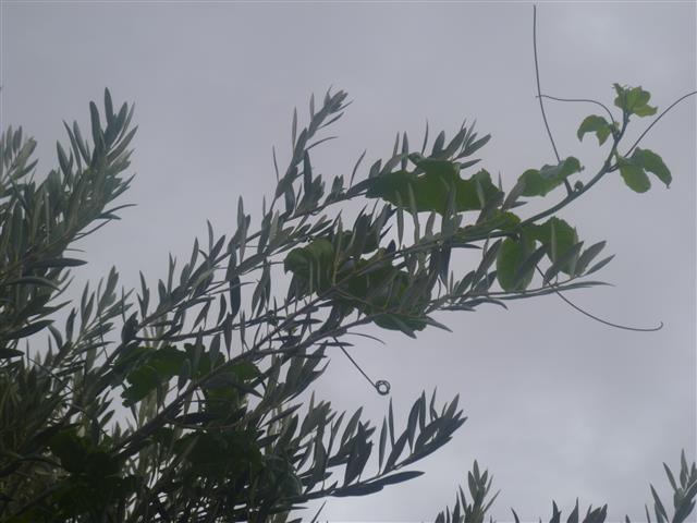 P1010587 (Small).JPG