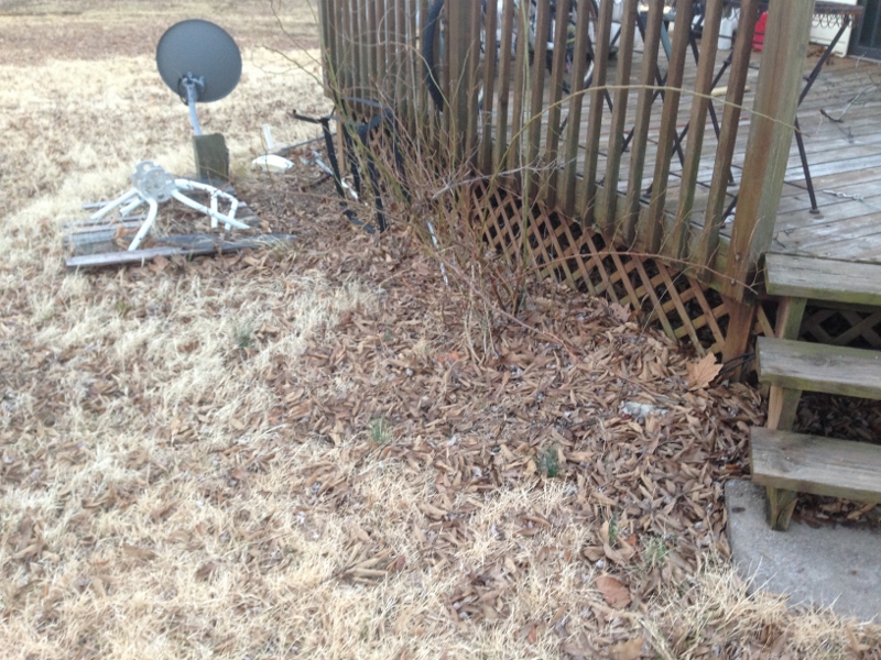 IMG_1359 (2) (800x600).jpg