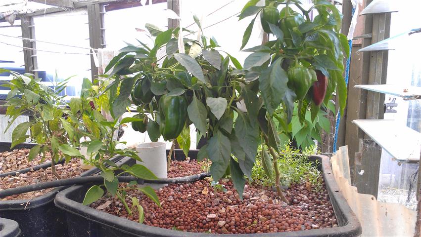 2014-03-14 17.20.05 (Small).jpg