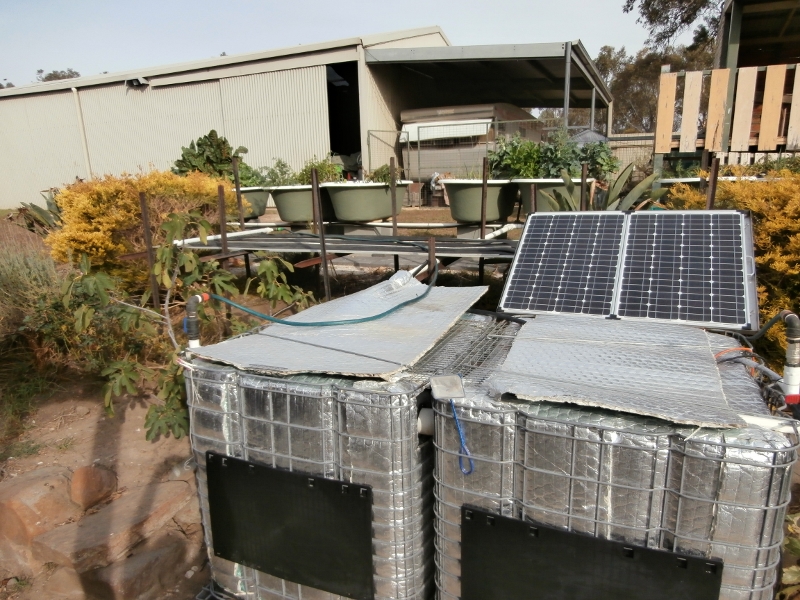 P4120036 (800x600).jpg