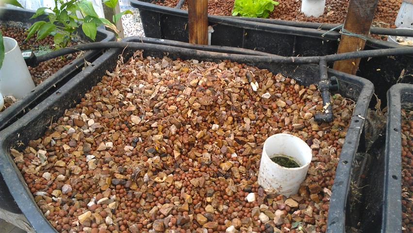 2014-03-15 10.46.16 (Small).jpg