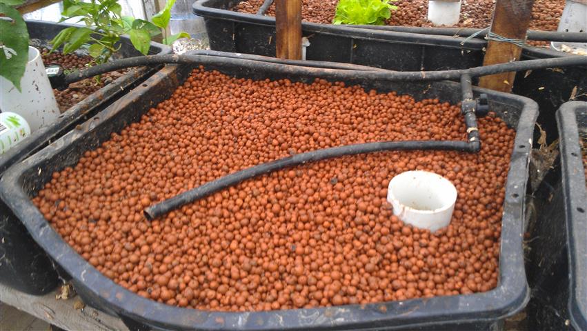 2014-03-15 11.12.49 (Small).jpg