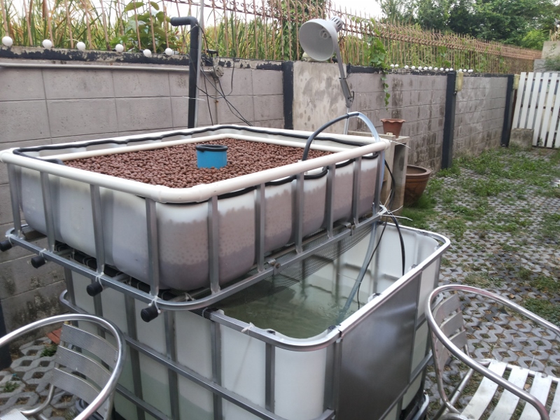 2014-03-10 17.55.52 (800x600).jpg